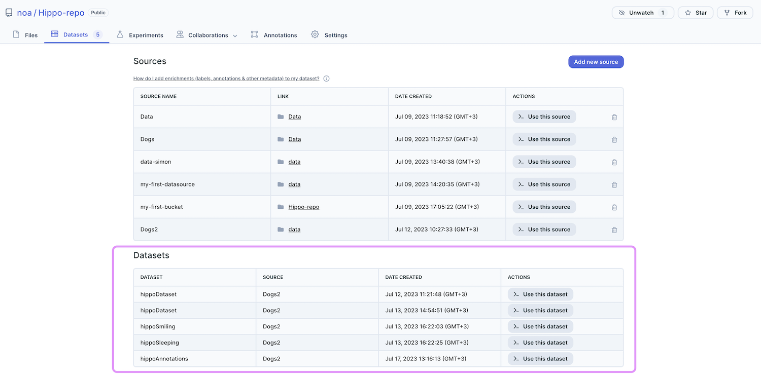 See saved dataset in Dagshub UI